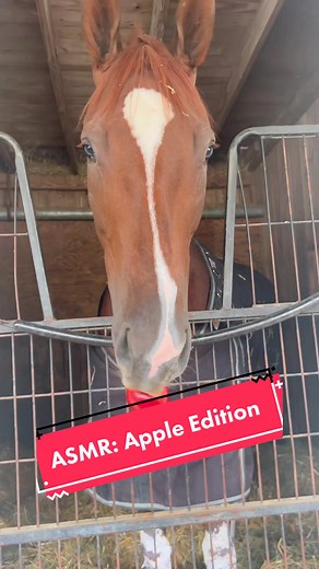 kentuckyderby on TikTok