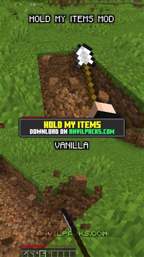 ⚒️ Hold my Items VS VANILLA MINECRAFT