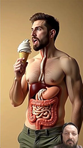 How Your Body Breaks Down Ice Cream | Inside the Digestive System