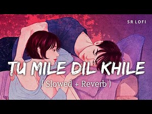 Tu Mile Dil Khile (Slowed + Reverb) | Asees Kaur, Stebin Ben | SR Lofi