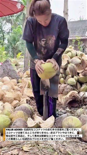 ​【驚異の職人技】道具一つで高速ココナッツ皮むき！無駄なしの伝統技術 #coconut #farm #farmlife #farmer #rural #industrial#viral #shorts