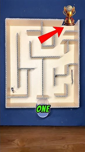 Bombardier Beetle vs Centipede 🏆 Who Wins the Golden Cup Race #shorts