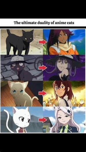 From adorable cats... to absolute waifus. 🐱➡️❤️