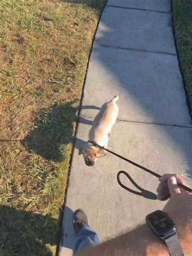 3.9K views · 55 reactions | JACKSON HEALING, Are you kidding me 殺殺殺 | Herr Max | Facebook