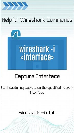 Wireshark Command Capture Interface