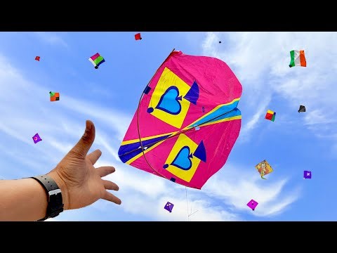 Kite Looting Ki Video | Caught Kites | Kite Catch | Kite