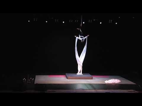 Кэт Нск - Рязанова Мелания #catwalkdancefest #воздушнаягимнастика #aerial