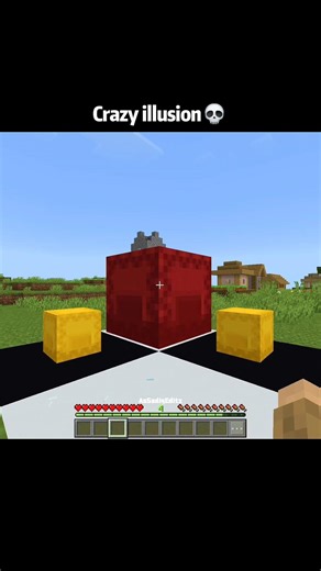 Minecraft shulker box illusion moments
