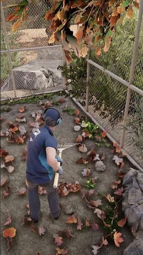 Lawn Mowing Simulator 2: The Rake!