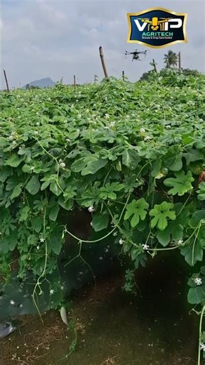 drone service available at Tiruvannamalai vip Agritech drones and crop care centre