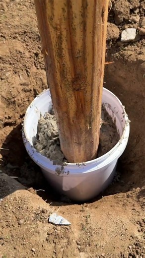 DIY Fence Post Fixing: Secure with Bucket & Concrete!
