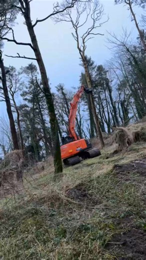 K-PLANT RENTALS 🟩🟥 MDE Koala 300 Shears doing what it does best with local Agri Contractors Scott Cunnane Group Ltd. Hire and Sales ✅️ New and used ✅️ Hedge and Tree felling ends ‼️ MARCH 1st Call ☎️ 086-25 33 262 for more details www.kirraneplanthire.ie | John Kirrane Plant Hire Ltd