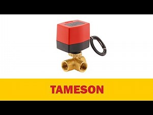 Electric Ball Valve AW1 Series | Tameson