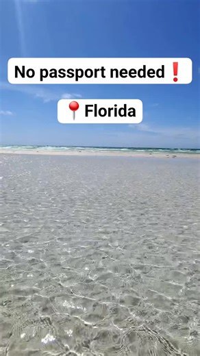 Anclote Sandbar: Hidden Island Near Tampa & Orlando