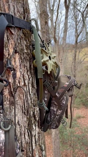 1.7K views · 13 reactions | Patrick Wade on Reels | Facebook