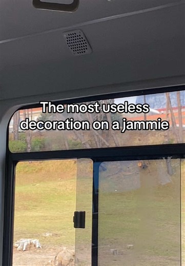 University Life in Cape Town: The UCT Experience