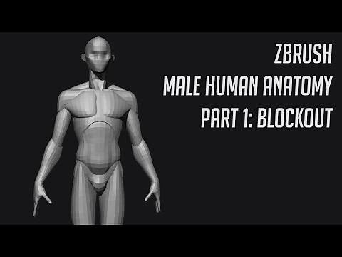 ZBrush - Human Anatomy: Male #1 Blockout