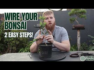 Bonsai Wiring Made Easy: 1-Branch & 2-Branch Techniques 🌱