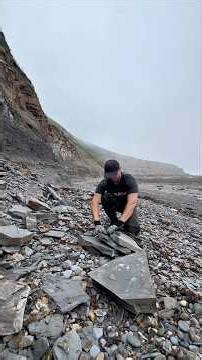 Fossil hunting on a Jurassic Coast beach, searching for hidden treasures 180 million years old!