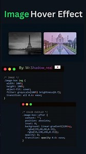 CSS Image Hover Effect with Color Change & Overlay #css #frontend #ui