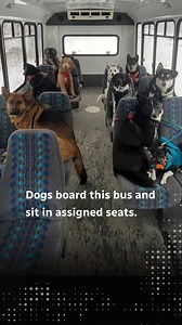 93K views · 557 reactions | When does a video of a bus ride rack up...
