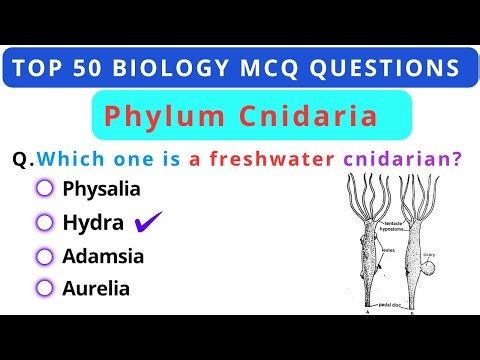 Phylum Cnidaria Top 50 MCQ for Competitive Exams | Biology MCQ| Animal Kingdom MCQ