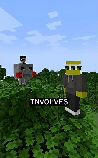 Minecraft but ROCKS ARE PETS?!?!