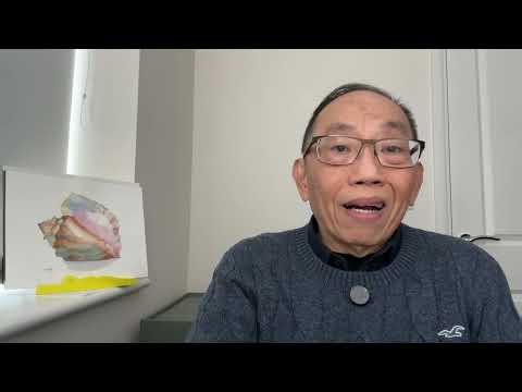 20251024*MAGA靈魂人物班農聲言，特朗普有方法繞過憲法做第三任總統，「天選之人」有咩方法學佢偶像永續權力？