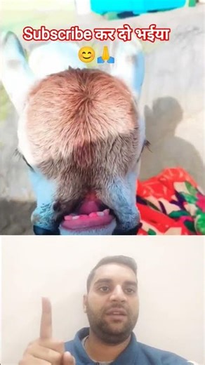 #TIMELAPSE: START to FINISH Alone BUILD LOG Cabin (Wooden House), How To Build WoodenCabin Survival🔥