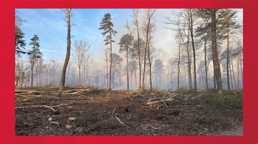 Michaux State Forest fire continues to burn in Cumberland, Franklin Counties | Live updates