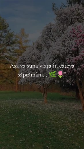 Spring's Upcoming Beauty: Nature's Revival