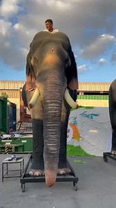 Robotic Sivan & Raaman ❤🐘🐘 at Dubai, just before the Festival..! #aanamaker #dubaipooram #thechikkottukavuramachandran #roboticelephant For more : 9747473714,9633559083 | Aanamaker