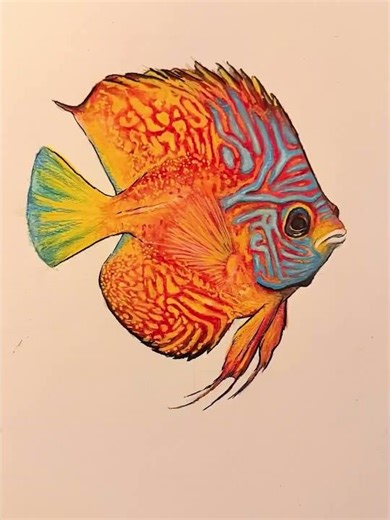 Discus Fish! 🐠 #painting #fish #watercolor #paint #art #artist #colors #beauty