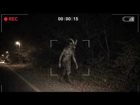 Cryptids Caught On Camera That Can't Be Explained