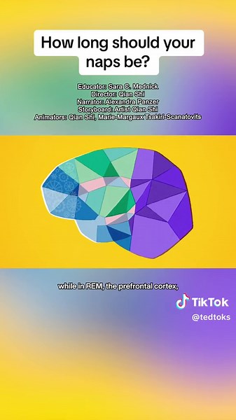 Understanding Optimal Nap Lengths for Better Cognition