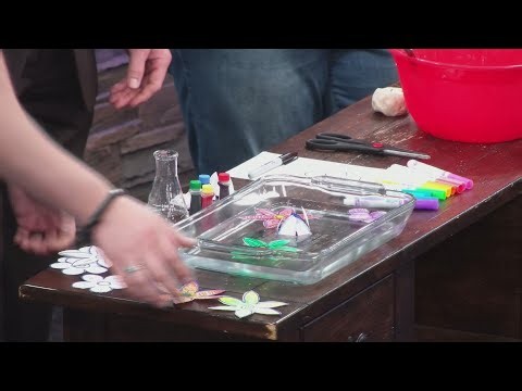 Flower science experiments with Hands On! Discovery Center