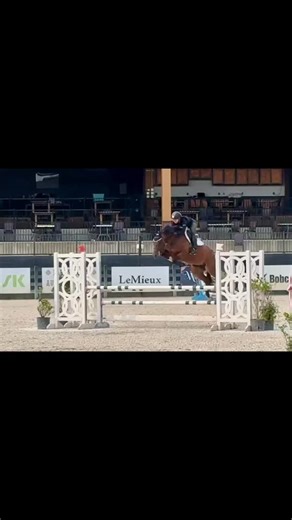 110 reactions · 16 comments | Darth Revan ‍⬛  aka Meerkat schooling 1.10 at TIEC | Lauren Bergrud | Facebook