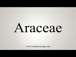 How To Say Araceae