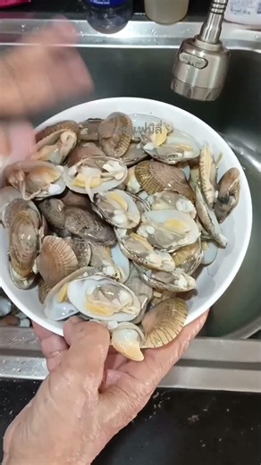 How to preserve clams to keep them fresh for multiple meals. #cooking #YaThaiFamily