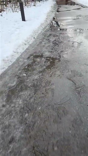 sounds of nature |calming vibes | relaxing sounds of nature #snow