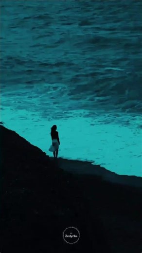 Shawn Mendes, Camila Cabello – Señorita 💬🔥 | WhatsApp Lyrics Video Edit #shorts