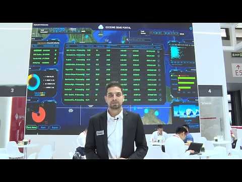 GoodWe SEMS Portal (Smart Energy Management System)