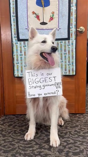 Hey sewing enthusiasts 🧵 This is the sewing GIVEAWAY everyone’s talking about! 🤪 After 50 years in the sewing world, we wanted to give back to the amazing community that’s made Sewing Machines Plus what it is today. So… introducing our BIGGEST GIVEAWAY EVER!! A $4,200 sewing bundle including the Pfaff Quilt Expression 720 Special Edition loads of sewing goodies! Yes, this is a 100% genuine contest designed to grow our already amazing sewing machines plus community and brand. ✅ Winner announced