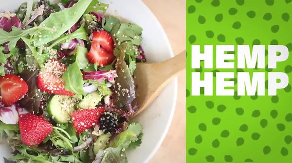 Manitoba Harvest Organic Hemp Seeds, 5 lb, 10g Plant Based Protein and 12g Omega 3 & 6 per Srv, smoothies, yogurt & salad, Non-GMO, Vegan, Keto, Paleo, Gluten Free