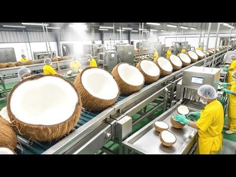 Inside The Factory: The Process Of Turning Coconuts Into Delicious Coconut Milk 🥥🏭