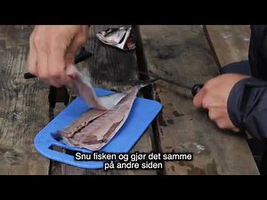 Avliving, sløying, rensing og filetering av fisk