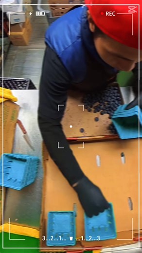 Jonel Evans on Reels