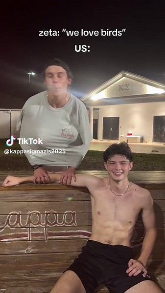 comment your fav bird 🦉#pledgetok #zeta #fyp #bamarushtok #foryoupage | bird