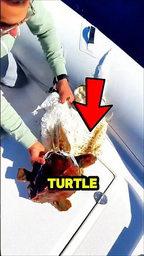 This Floating Trash Was Actually Alive. 😳