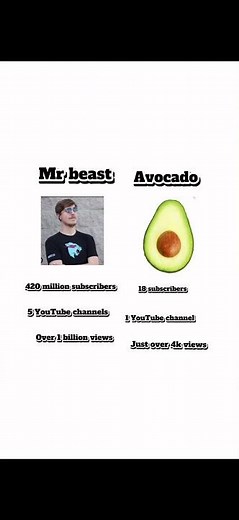 Avocado vs Mr beast